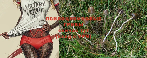 СК Нея