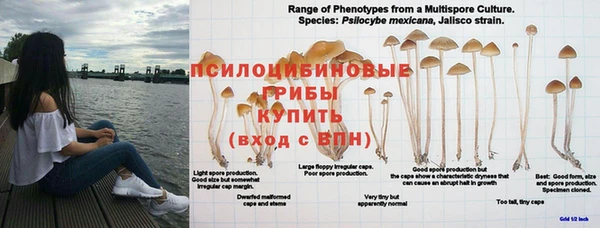 ECSTASY Нефтегорск
